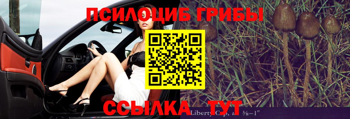 Псилоцибиновые грибы Magic Shrooms  Вход с VPN  Апатиты 
